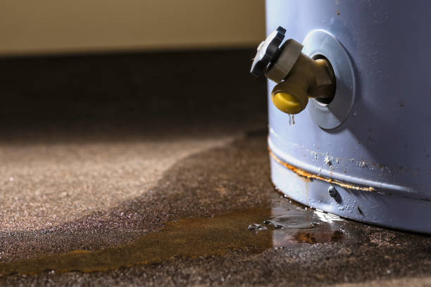 Best Carpet water damage restoration  in St Croix Falls, WI