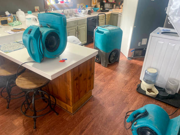 Best Carpet water damage restoration  in St Croix Falls, WI