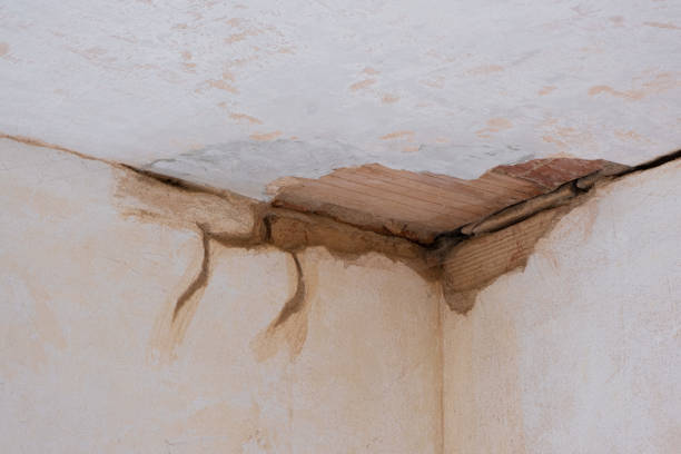 Best Flooded house restoration  in St Croix Falls, WI