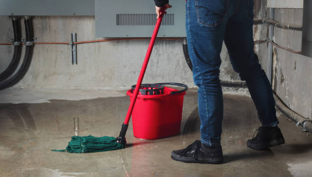 Best Mold removal after water damage  in St Croix Falls, WI