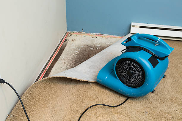 Best Flooded house restoration  in St Croix Falls, WI